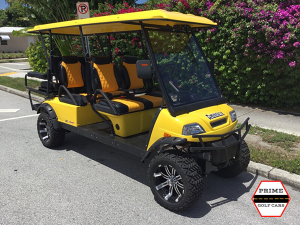 pembroke pines golf cart repair, golf cart service, mobile repair